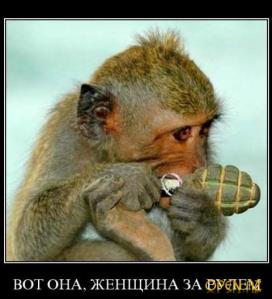 money photo with a grenade shopped