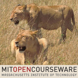 mza_6820758399004426348.255x255-75